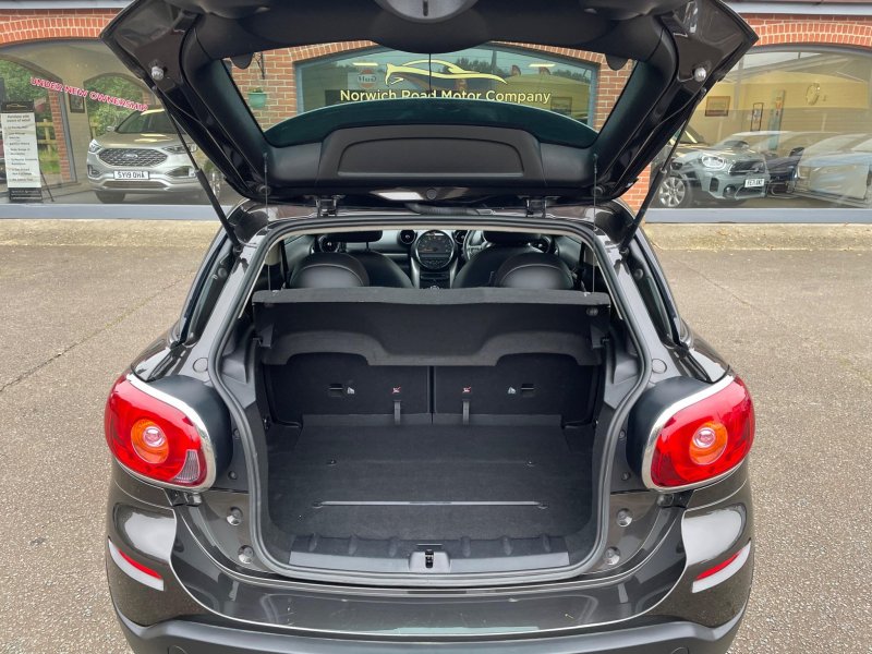 MINI PACEMAN