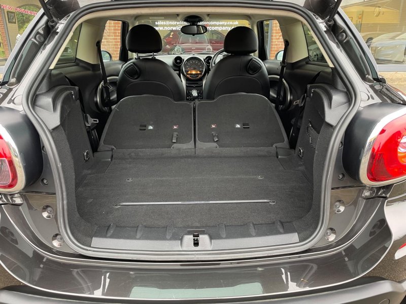 MINI PACEMAN